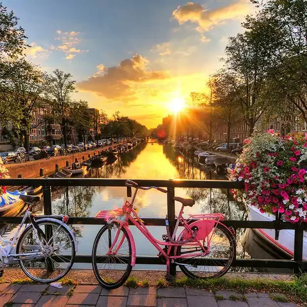 A sunset over an Amsterdam canal, with bicycles and vibrant flowers in the foreground.
