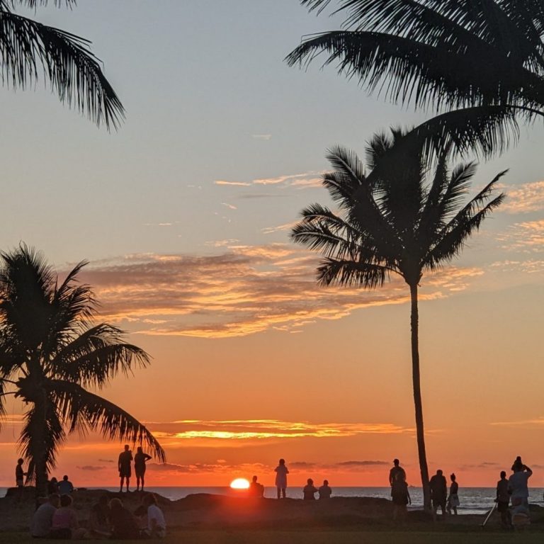 Silhouettes of people and palm trees against a vibrant sunset sky.